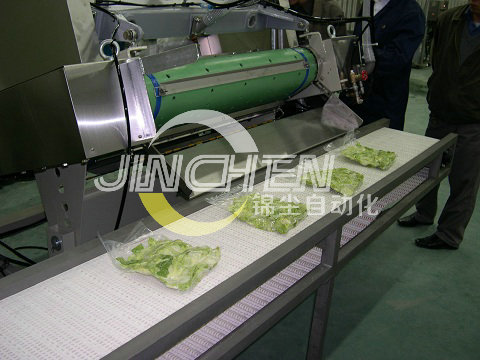 上海錦塵雙層直線(xiàn)網(wǎng)帶輸送機(jī)